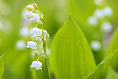 《魔兽世界》或将举办《暗黑4》主题发售庆祝活动